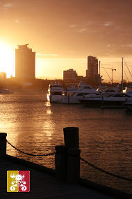 Ribs and Rumps at Marina Mirage Main Beach Gold Coast